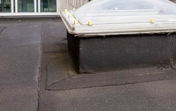 disadvantages of Ffrith flat roofs